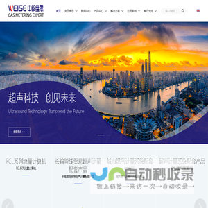 上海中核维思仪器仪表股份有限公司-上海中核维思仪器仪表股份有限公司